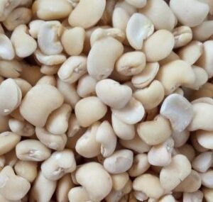 AF Peeled Beans 4kg